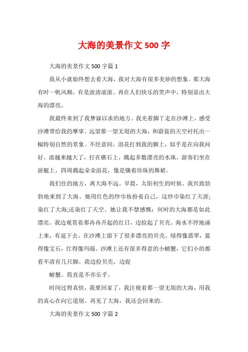 大海的美景作文500字
