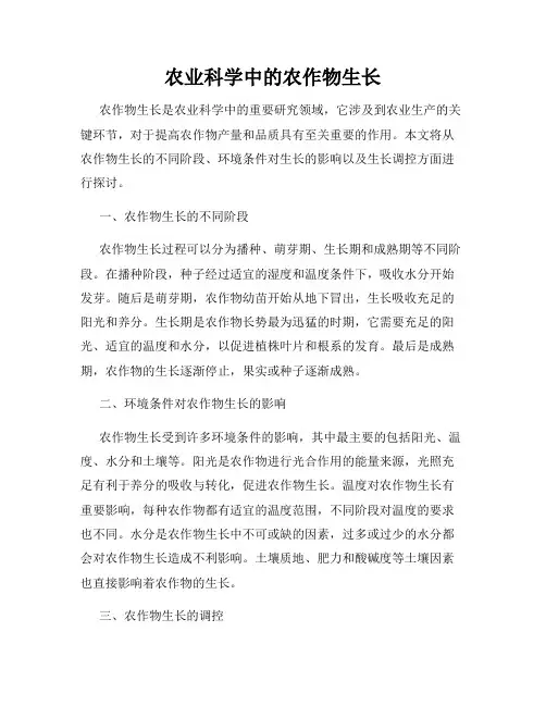 农业科学中的农作物生长