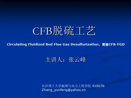 CFB脱硫工艺