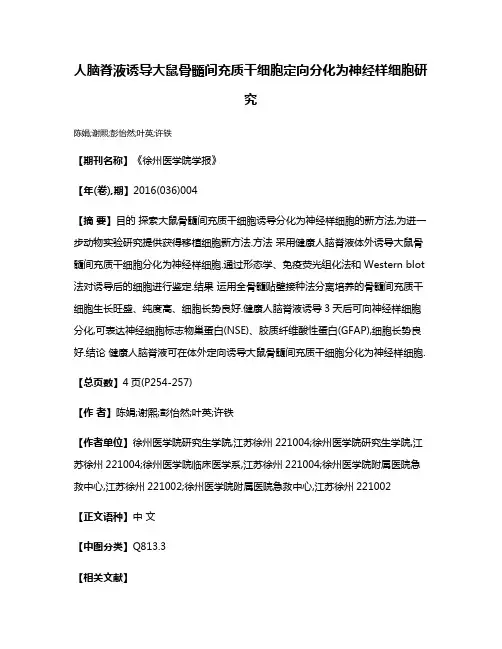 人脑脊液诱导大鼠骨髓间充质干细胞定向分化为神经样细胞研究