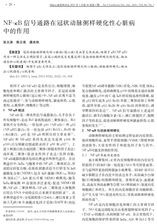 NF-κB信号通路在冠状动脉粥样硬化性心脏病中的作用