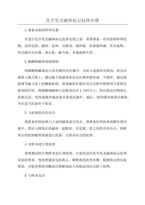 化学发光磁珠标记抗体步骤