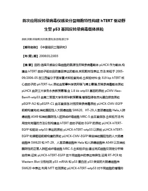 首次应用反转录病毒仅感染分裂细胞特性构建hTERT驱动野生型p53基因反转录病毒载体质粒