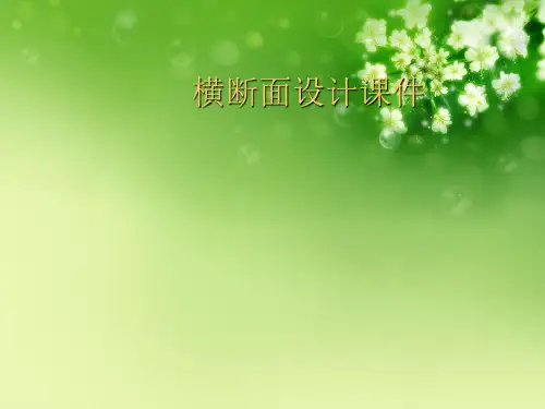 横断面设计课件优秀课件