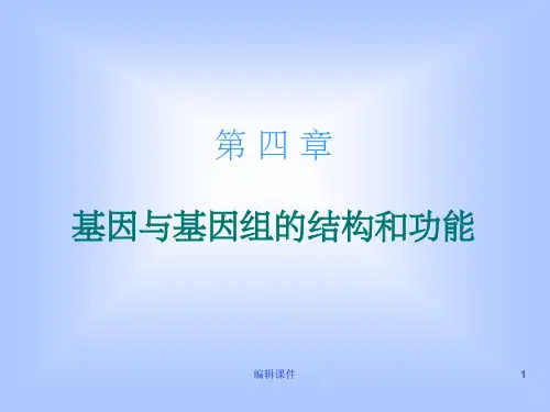 基因与基因组的结构和功能