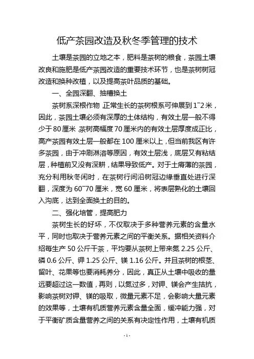 低产茶园改造及秋冬季管理的技术