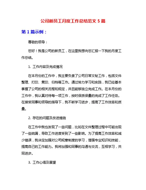 公司新员工月度工作总结范文5篇