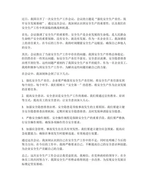 安全生产工作会议感想