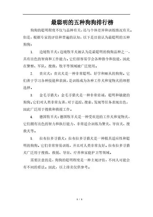 最聪明的五种狗狗排行榜