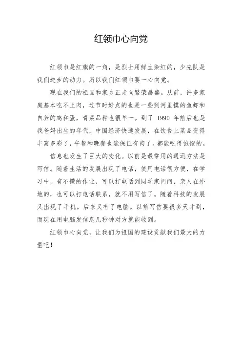二年级《红领巾心向党》