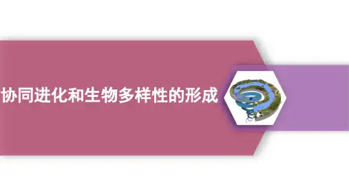 生物人教版(2019)必修2 6.4协同进化和生物多样性的形成(共26张ppt)