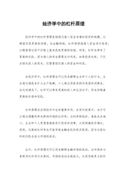 经济学中的杠杆原理