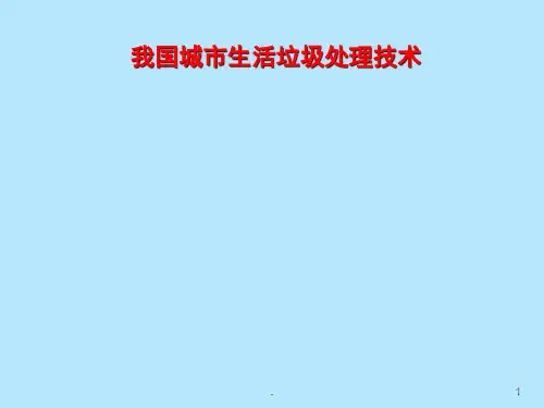 垃圾焚烧发电厂ppt课件