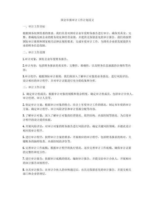 国企年报审计工作计划范文