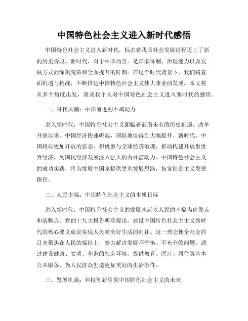中国特色社会主义进入新时代感悟