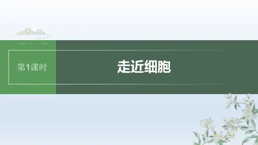 人教版2024届高考生物一轮复习走近细胞课件教学课件