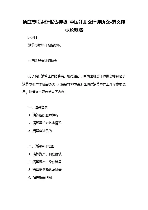 清算专项审计报告模板 中国注册会计师协会-概述说明以及解释