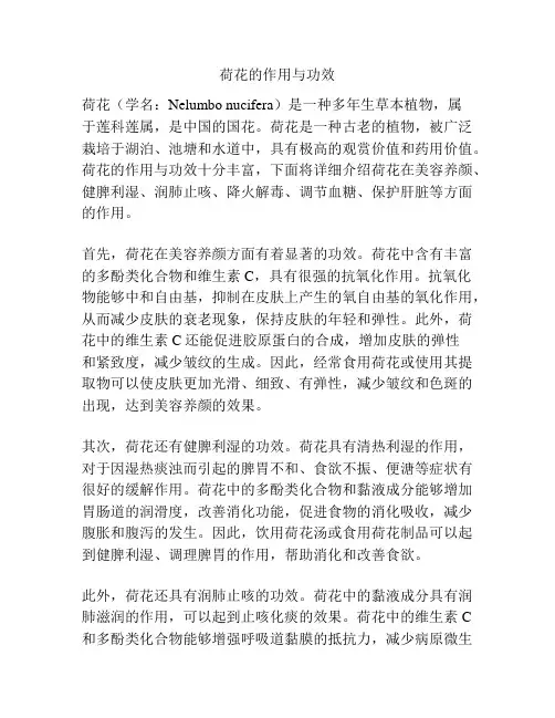 荷花的作用与功效