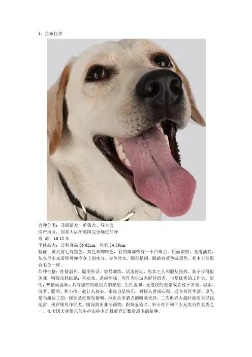 狗狗资料
