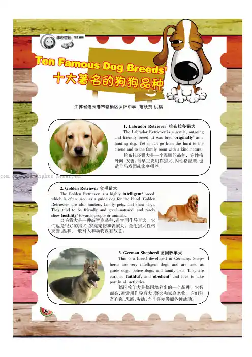 十大著名的狗狗品种