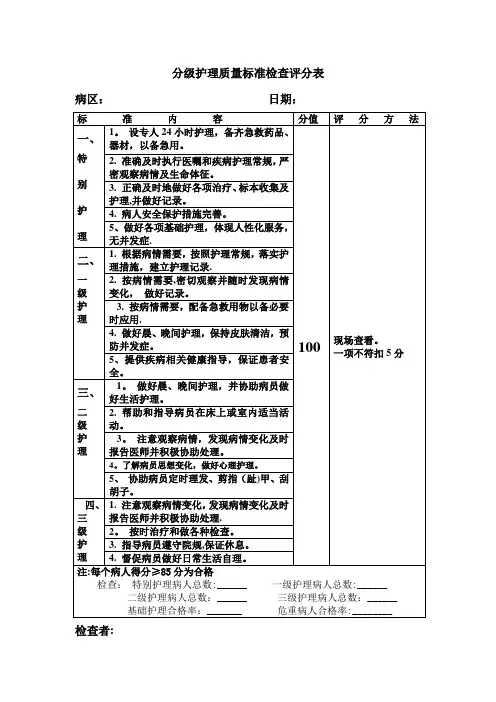 分级护理质量标准检查评分表【范本模板】