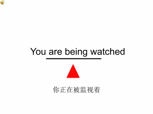 美剧《疑犯追踪》 person of interest( poi) 特别走心的英文演讲