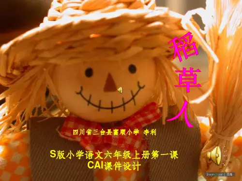 小学六年级语文上册《稻草人》演示课件语文出版社S