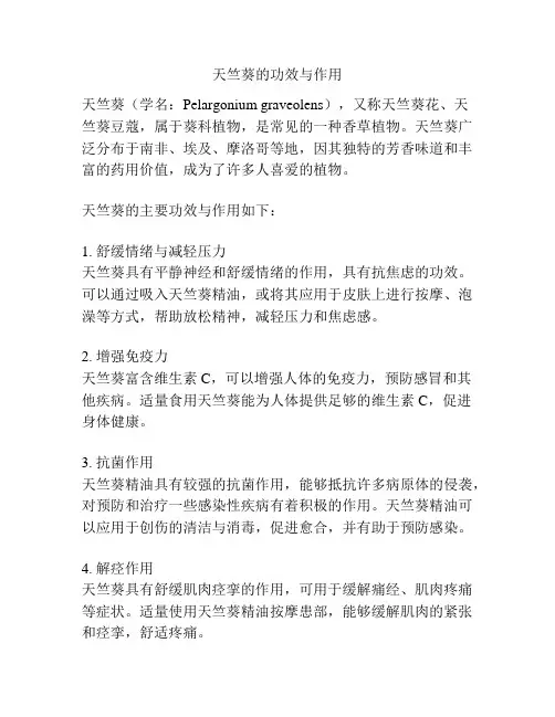天竺葵的功效与作用