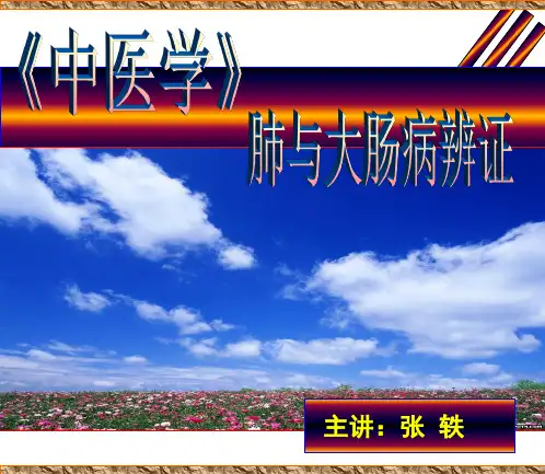 中医学：肺与大肠辨证(张轶)