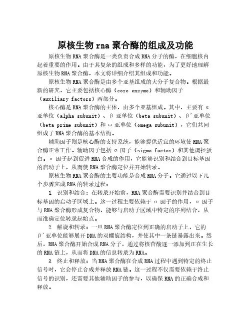 原核生物rna聚合酶的组成及功能