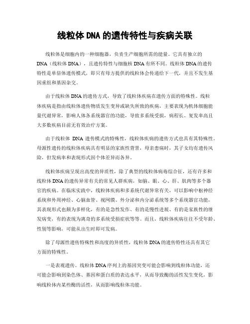 线粒体DNA的遗传特性与疾病关联