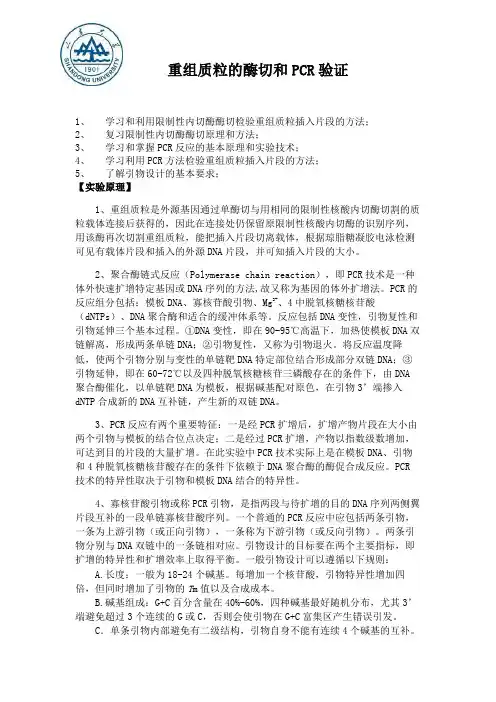 重组质粒酶切与PCR验证