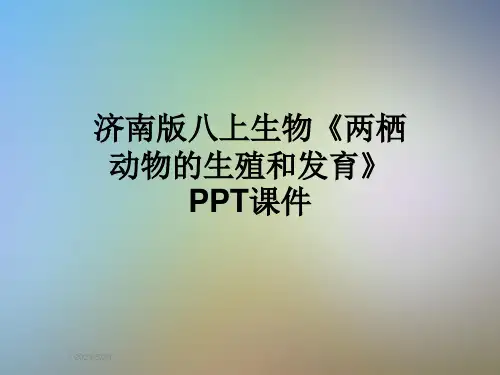 济南版八上生物《两栖动物的生殖和发育》PPT课件