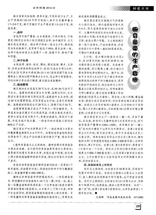 豌豆苗菜的生产栽培