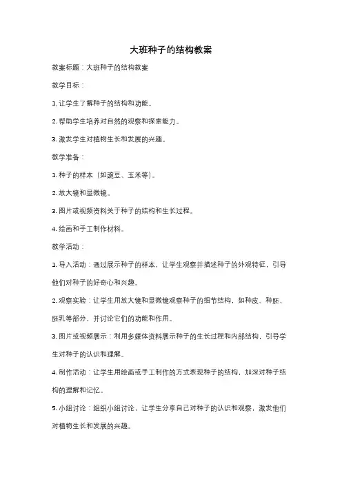 大班种子的结构教案