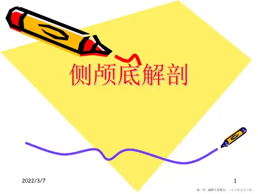 侧颅底解剖