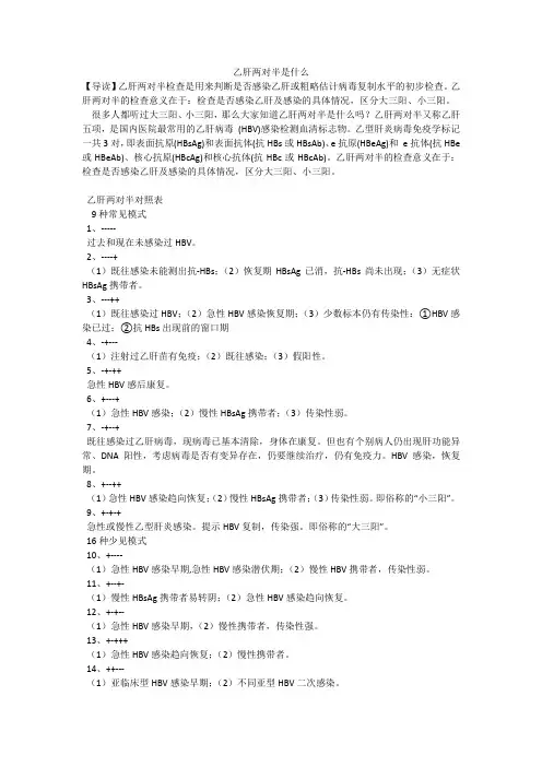 乙肝两对半是什么