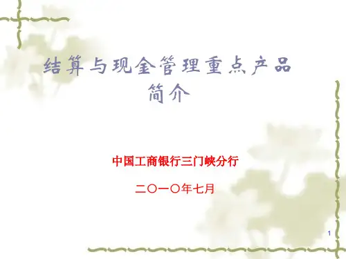 资金理财及现金管理培训精品PPT课件