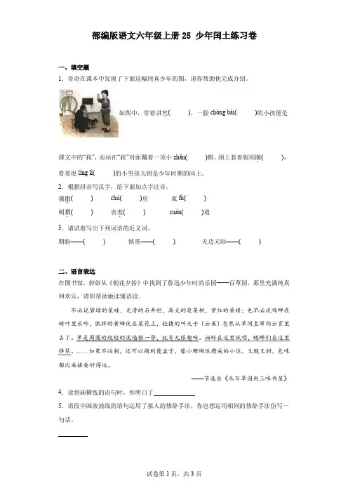部编版语文六年级上册25少年闰土练习卷