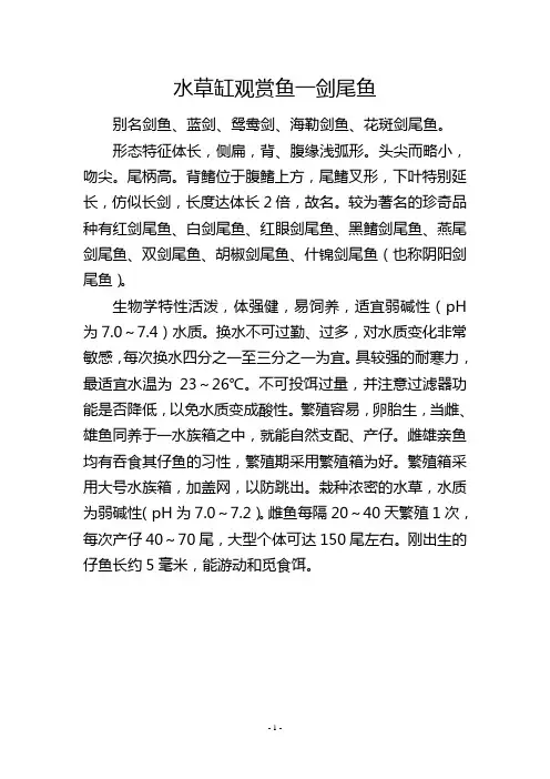 水草缸观赏鱼一剑尾鱼