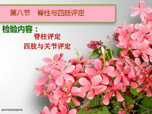 身体评估脊柱和肢评估