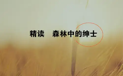 2018年高中语文中国现代诗歌散文欣赏课件：散文部分 9.1 第4单元 如真似幻的梦境