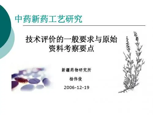 中药新药工艺研究技术评价的一般要求和原始资料考察重点(正式2)