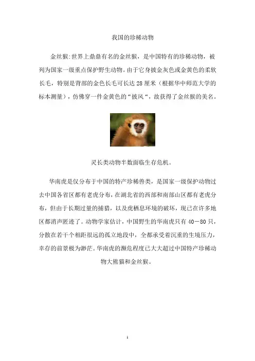 珍稀动物