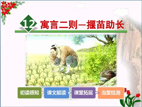 寓言二则—揠苗助长人教(部编版)PPT 优秀课件
