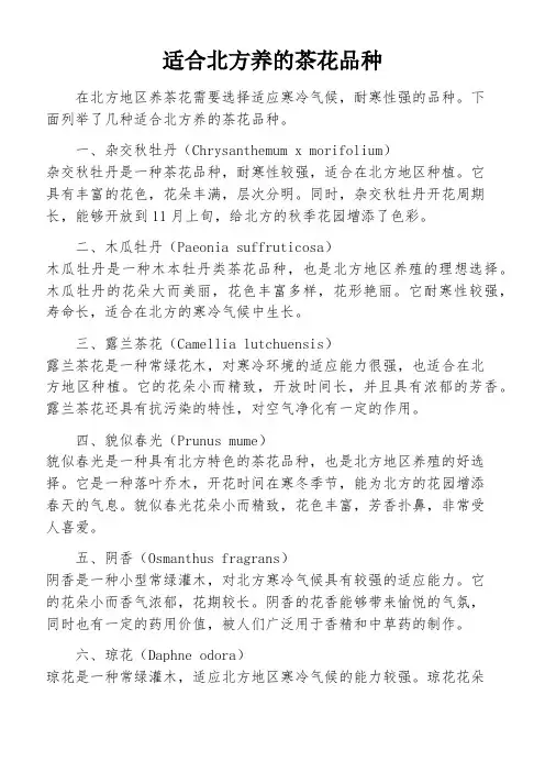 适合北方养的茶花品种