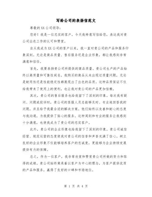写给公司的表扬信范文（三篇）