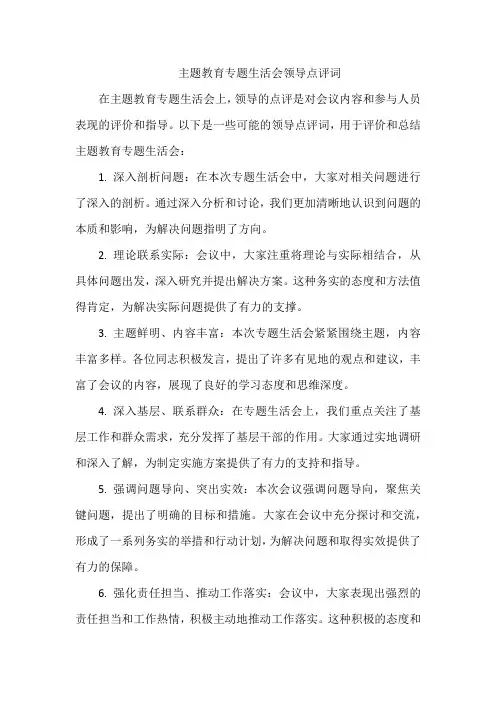 主题教育专题生活会领导点评词