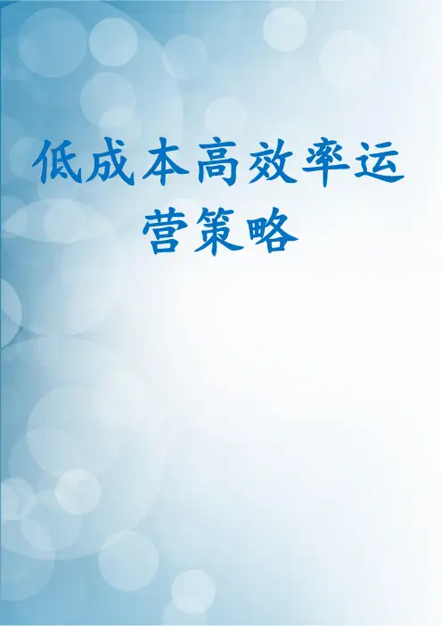 低成本高效率运营策略