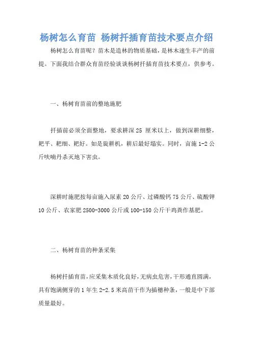 杨树怎么育苗 杨树扦插育苗技术要点介绍